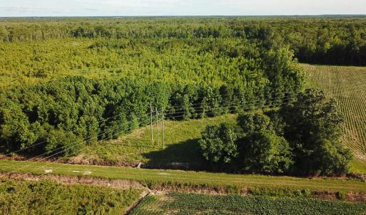 Photo of UNDER CONTRACT!  37 Acres of PRIME Bear Hunting Land For Sale in Tyrrell County NC!