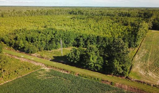 Photo of UNDER CONTRACT!  37 Acres of PRIME Bear Hunting Land For Sale in Tyrrell County NC!