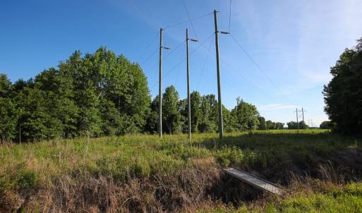 Photo of UNDER CONTRACT!  37 Acres of PRIME Bear Hunting Land For Sale in Tyrrell County NC!
