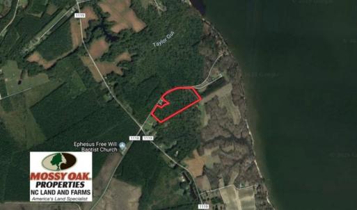 Photo of REDUCED!  18 Acres Land For Sale in Blount's Creek Beaufort County NC!