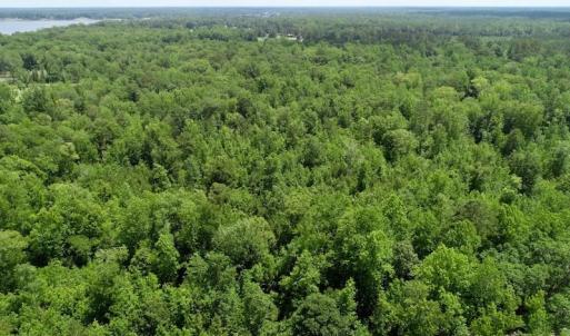 Photo of REDUCED!  18 Acres Land For Sale in Blount's Creek Beaufort County NC!