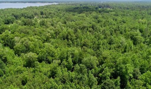 Photo of REDUCED!  18 Acres Land For Sale in Blount's Creek Beaufort County NC!