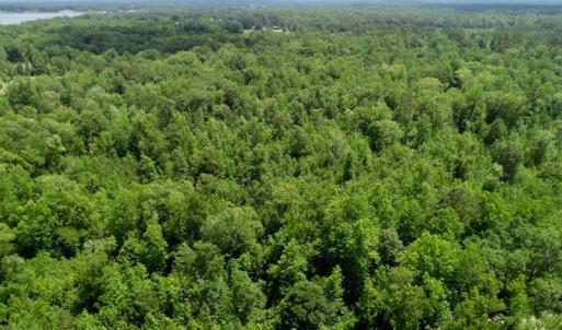 Photo of REDUCED!  18 Acres Land For Sale in Blount's Creek Beaufort County NC!
