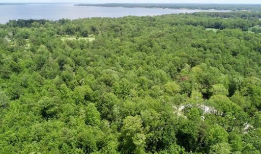 Photo of REDUCED!  18 Acres Land For Sale in Blount's Creek Beaufort County NC!