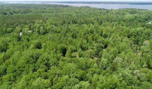 Photo of REDUCED!  18 Acres Land For Sale in Blount's Creek Beaufort County NC!