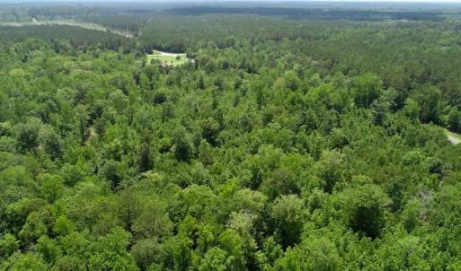 Photo of REDUCED!  18 Acres Land For Sale in Blount's Creek Beaufort County NC!
