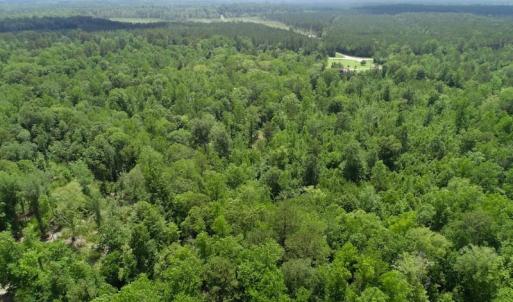 Photo of REDUCED!  18 Acres Land For Sale in Blount's Creek Beaufort County NC!