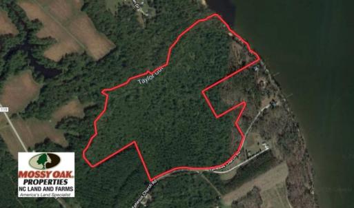 Photo of SOLD!  81.5 Acres of Waterfront Property For Sale in Blount's Creek Beaufort County NC!