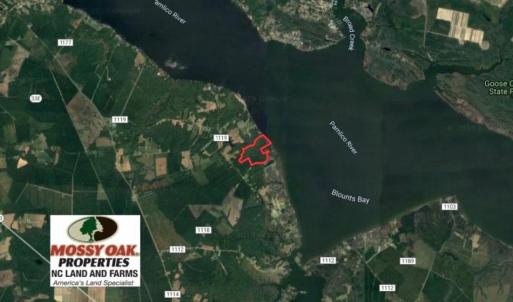 Photo of SOLD!  81.5 Acres of Waterfront Property For Sale in Blount's Creek Beaufort County NC!