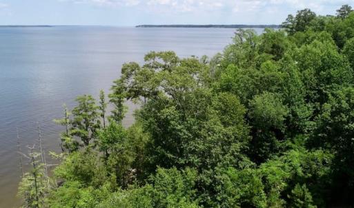 Photo of SOLD!  81.5 Acres of Waterfront Property For Sale in Blount's Creek Beaufort County NC!