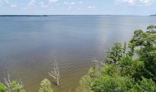 Photo of SOLD!  81.5 Acres of Waterfront Property For Sale in Blount's Creek Beaufort County NC!