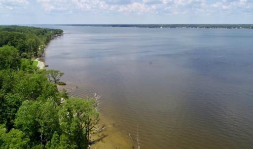 Photo of SOLD!  81.5 Acres of Waterfront Property For Sale in Blount's Creek Beaufort County NC!