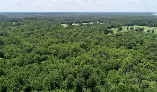 Photo of SOLD!  81.5 Acres of Waterfront Property For Sale in Blount's Creek Beaufort County NC!