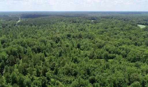 Photo of SOLD!  81.5 Acres of Waterfront Property For Sale in Blount's Creek Beaufort County NC!