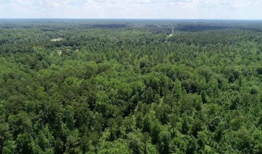Photo of SOLD!  81.5 Acres of Waterfront Property For Sale in Blount's Creek Beaufort County NC!