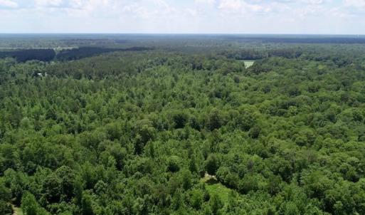 Photo of SOLD!  81.5 Acres of Waterfront Property For Sale in Blount's Creek Beaufort County NC!