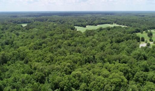 Photo of SOLD!  81.5 Acres of Waterfront Property For Sale in Blount's Creek Beaufort County NC!