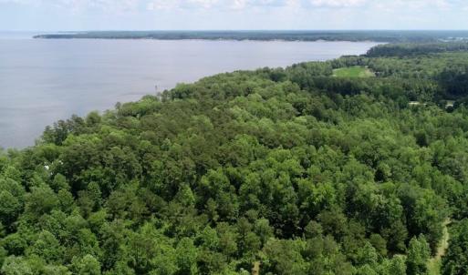 Photo of SOLD!  81.5 Acres of Waterfront Property For Sale in Blount's Creek Beaufort County NC!