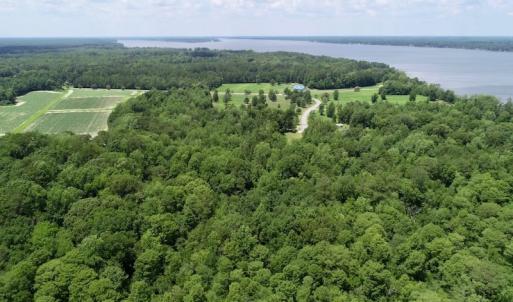Photo of SOLD!  81.5 Acres of Waterfront Property For Sale in Blount's Creek Beaufort County NC!