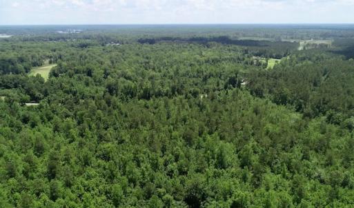 Photo of SOLD!  81.5 Acres of Waterfront Property For Sale in Blount's Creek Beaufort County NC!