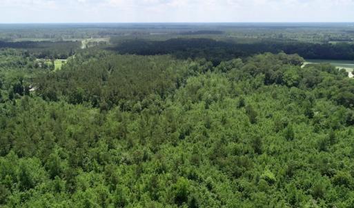 Photo of SOLD!  81.5 Acres of Waterfront Property For Sale in Blount's Creek Beaufort County NC!
