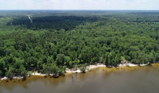 Photo of SOLD!  81.5 Acres of Waterfront Property For Sale in Blount's Creek Beaufort County NC!