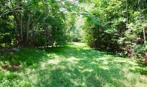 Photo of SOLD!  81.5 Acres of Waterfront Property For Sale in Blount's Creek Beaufort County NC!