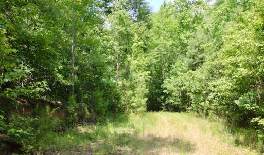 Photo of SOLD!  81.5 Acres of Waterfront Property For Sale in Blount's Creek Beaufort County NC!