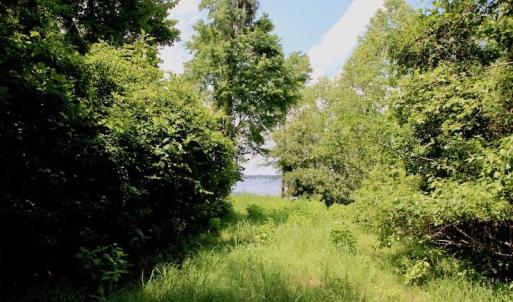 Photo of SOLD!  81.5 Acres of Waterfront Property For Sale in Blount's Creek Beaufort County NC!