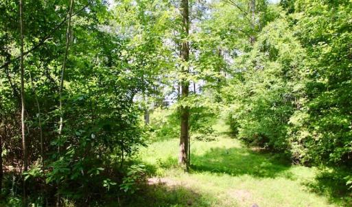Photo of SOLD!  81.5 Acres of Waterfront Property For Sale in Blount's Creek Beaufort County NC!