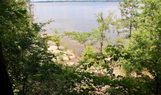 Photo of SOLD!  81.5 Acres of Waterfront Property For Sale in Blount's Creek Beaufort County NC!