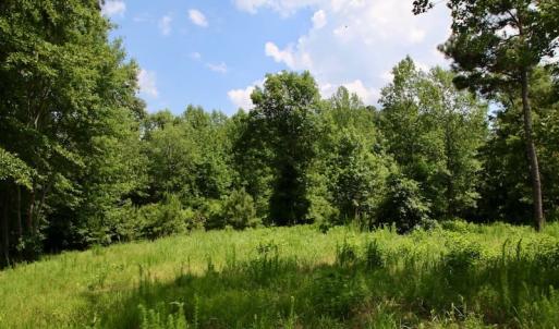 Photo of SOLD!  81.5 Acres of Waterfront Property For Sale in Blount's Creek Beaufort County NC!