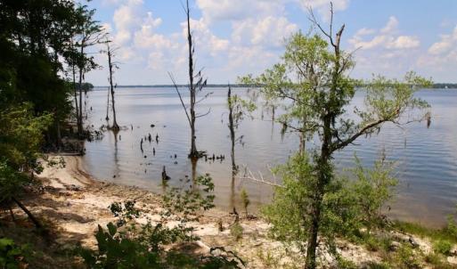 Photo of SOLD!  81.5 Acres of Waterfront Property For Sale in Blount's Creek Beaufort County NC!