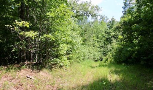 Photo of SOLD!  81.5 Acres of Waterfront Property For Sale in Blount's Creek Beaufort County NC!