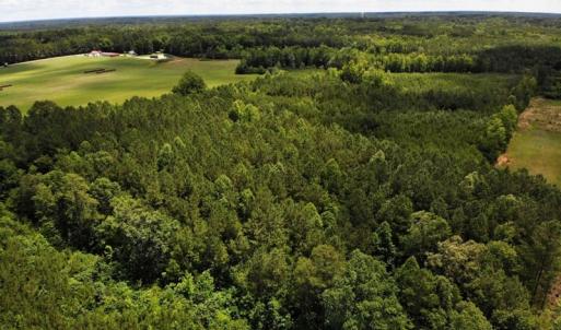 Photo of SOLD!!  4.5 Acres of Residential Land For Sale in Warren County NC!