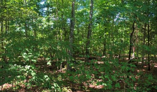 Photo of SOLD!!  4.5 Acres of Residential Land For Sale in Warren County NC!