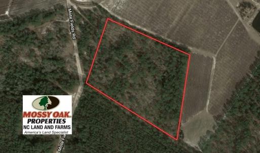 Photo of UNDER CONTRACT!  10.5 Acres of Hunting and Timberland For Sale in Bladen County NC!