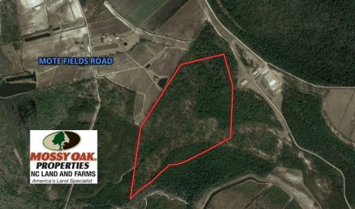 Photo of SOLD!  101 Acres of Hunting and Timberland For Sale in Bladen County NC!