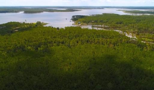 Photo of SOLD!!  40 Acres of Waterfront Residential and Timber Land For Sale in Beaufort County NC!