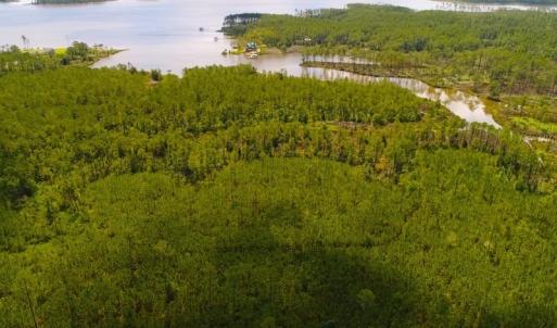 Photo of SOLD!!  40 Acres of Waterfront Residential and Timber Land For Sale in Beaufort County NC!