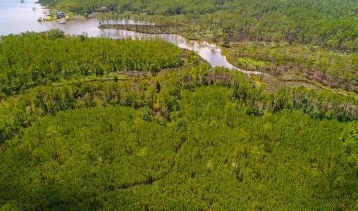 Photo of SOLD!!  40 Acres of Waterfront Residential and Timber Land For Sale in Beaufort County NC!