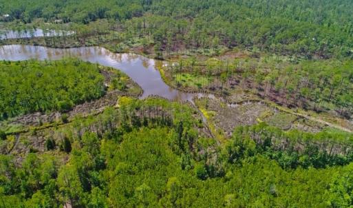 Photo of SOLD!!  40 Acres of Waterfront Residential and Timber Land For Sale in Beaufort County NC!