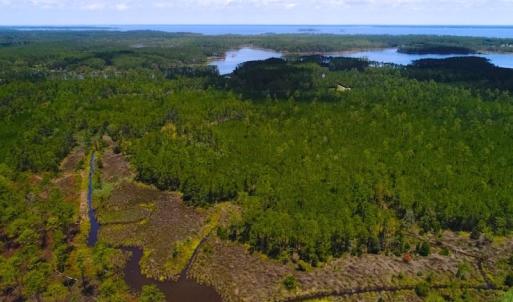 Photo of SOLD!!  40 Acres of Waterfront Residential and Timber Land For Sale in Beaufort County NC!