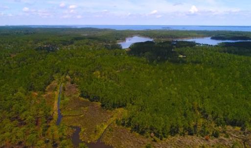Photo of SOLD!!  40 Acres of Waterfront Residential and Timber Land For Sale in Beaufort County NC!