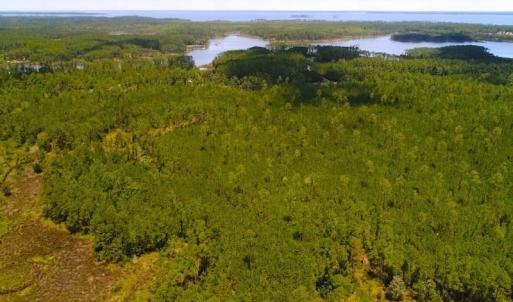 Photo of SOLD!!  40 Acres of Waterfront Residential and Timber Land For Sale in Beaufort County NC!