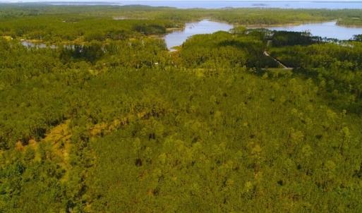 Photo of SOLD!!  40 Acres of Waterfront Residential and Timber Land For Sale in Beaufort County NC!