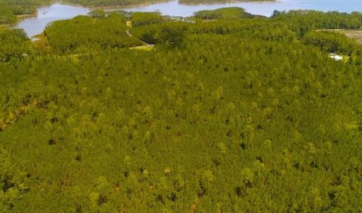 Photo of SOLD!!  40 Acres of Waterfront Residential and Timber Land For Sale in Beaufort County NC!