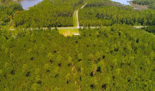 Photo of SOLD!!  40 Acres of Waterfront Residential and Timber Land For Sale in Beaufort County NC!