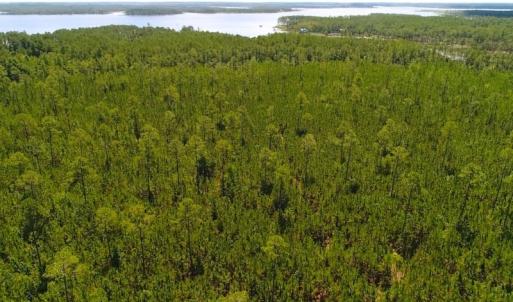 Photo of SOLD!!  40 Acres of Waterfront Residential and Timber Land For Sale in Beaufort County NC!
