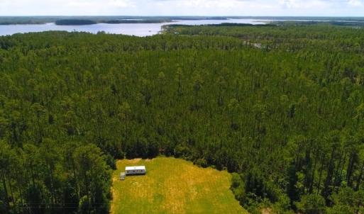 Photo of SOLD!!  40 Acres of Waterfront Residential and Timber Land For Sale in Beaufort County NC!